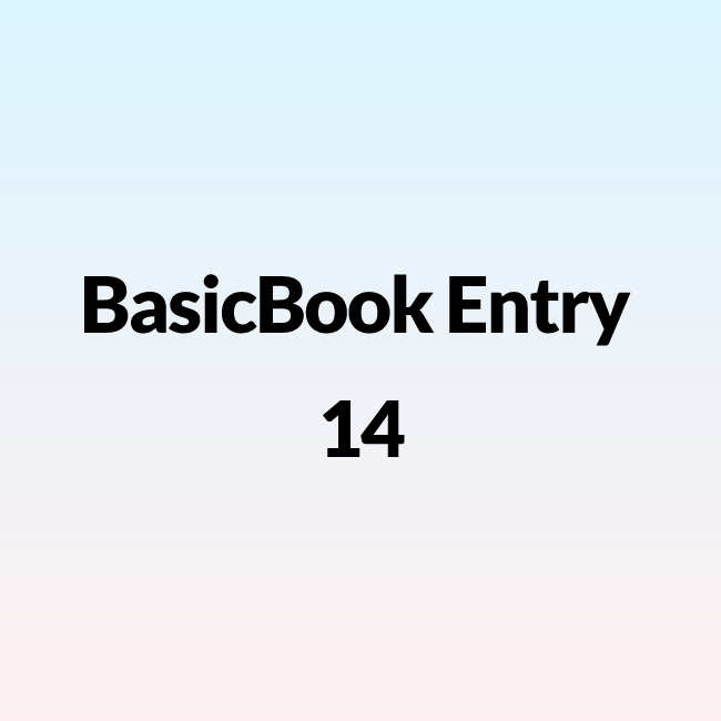 BasicBook Entry 14